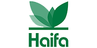 haifa